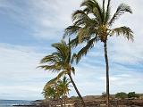 Big Island 030